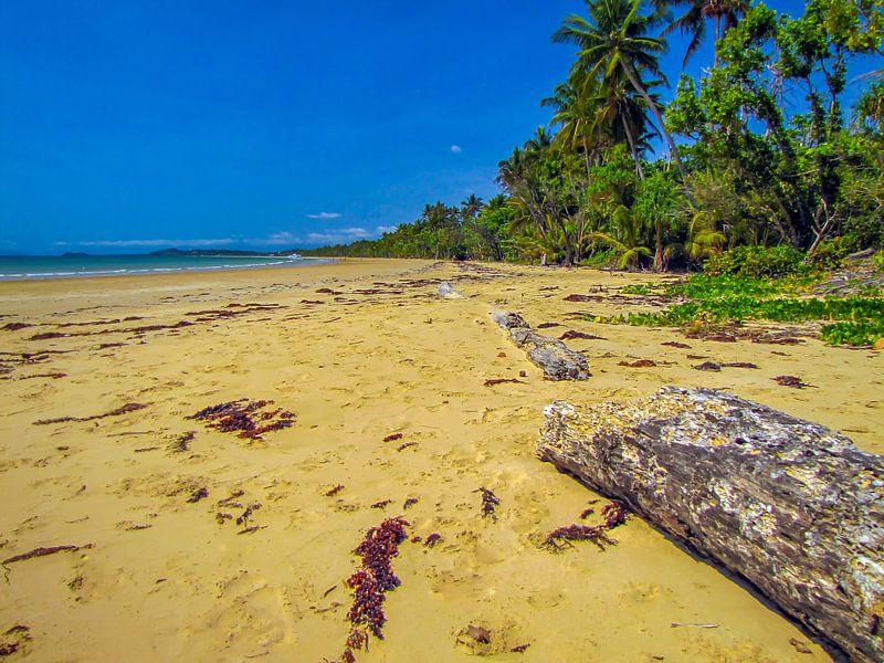 Plage déserte aux «tropiques de droit» dans le Queensland, en Australie par Rietje Bulthuis