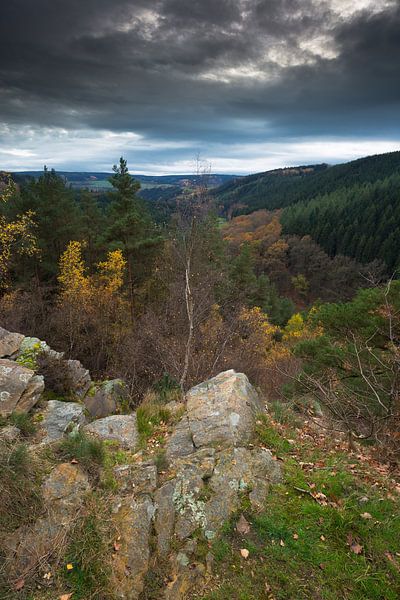 Rock formation in the Belgian Ardennes in autumn.  by Rob Christiaans