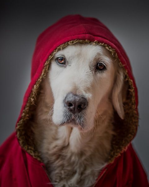 Der Gute von Desirée Couwenberg