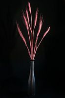 Stillleben mit Blumen