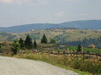 Heuvels in Roemenië (3) 