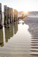 Sonnenaufgang auf Ameland