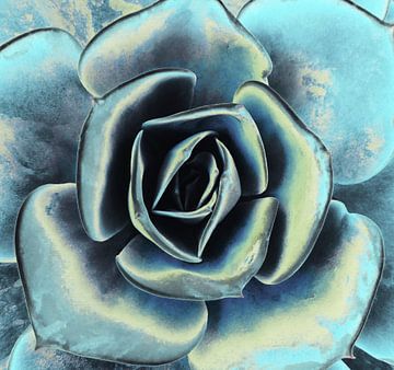 POPART OF SUCCULENTS III