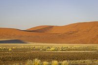 Dodevlei_6, Sesriem, Namibie