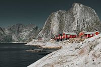 Hamnøy Fischerdorf Lofoten Norwegen