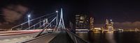Panorama Erasmusbrug