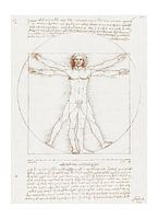 L'homme universel - Dessin de Vitruve de Léonard de Vinci