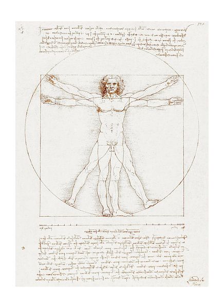 L'homme universel - Dessin de Vitruve de Léonard de Vinci par Atelier Kinst