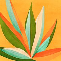 Sommerlicher Kaktusgarten