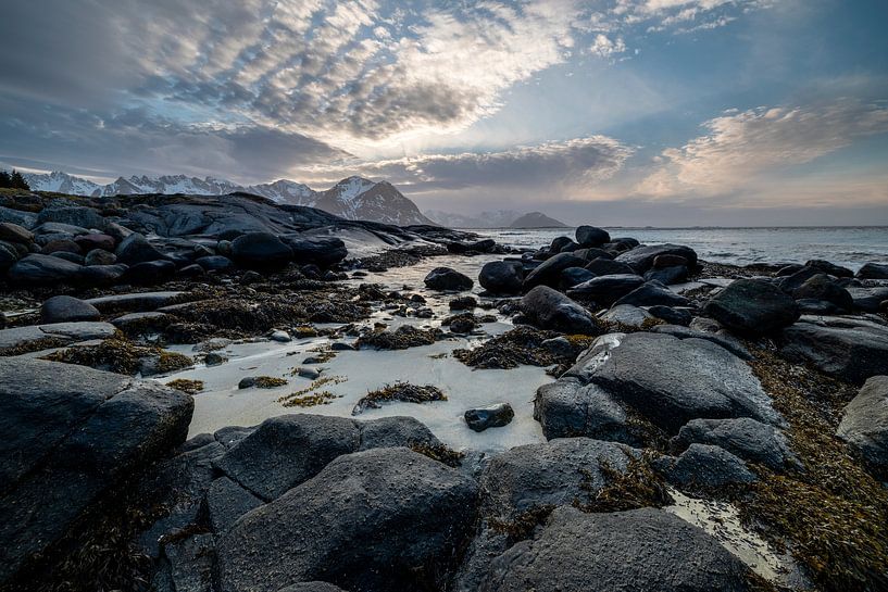 Küste der Lofoten Norwegen von Frank Pietersen