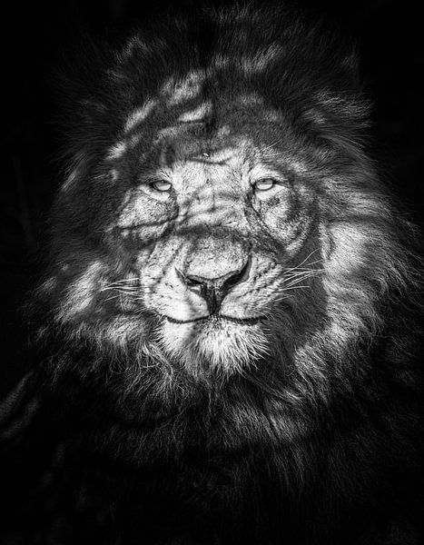 Being watched by Mike Taylor