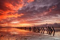 Sonnenuntergang Ternaard