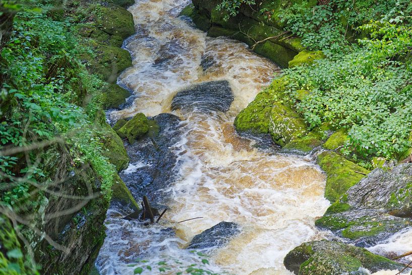 Tosendes Wasser in den Bergen von Iris Holzer Richardson