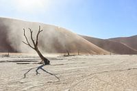 The Advlei dust cloud