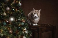 Vintage Fine Art Christmas portrait cat