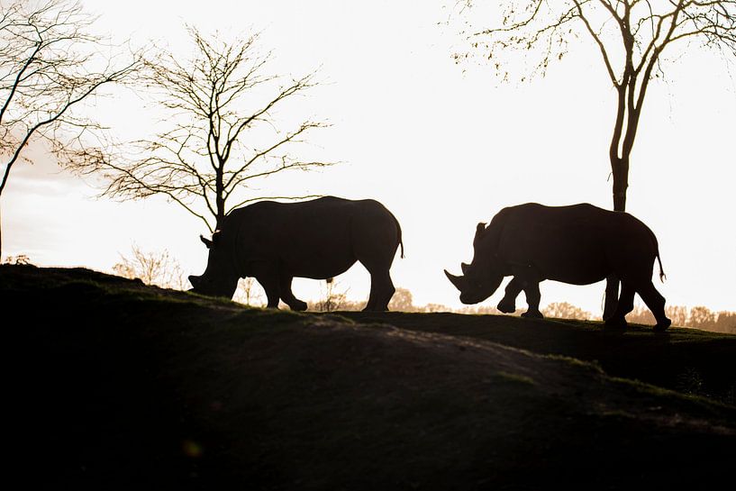 Zwei im Schatten von Beeldspraak