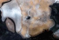 Ice sculpture with eye