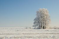 Nederland in de sneeuw