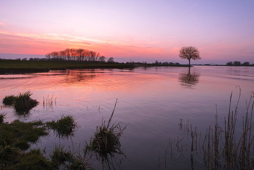 Coucher de soleil au bord de l'eau avec un arbre sur l'épi par Moetwil en van Dijk - Fotografie