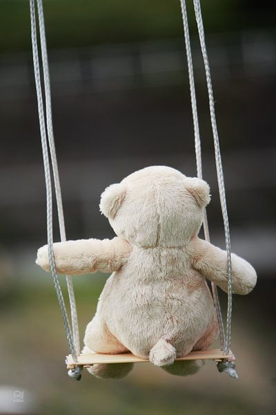 Bear on Swing in motion. von Sailographic Paula