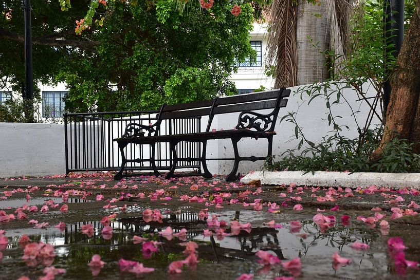 In the park after the storm by Claude Laprise