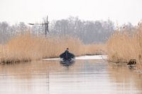 fluisterboot en windmolen in giethoorn