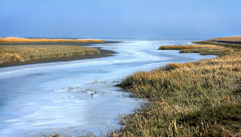 Salt marshes in the Wadden Sea 5 by Bo Scheeringa Photography