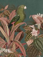 Vintage Parrots bird and pink tropical foliage