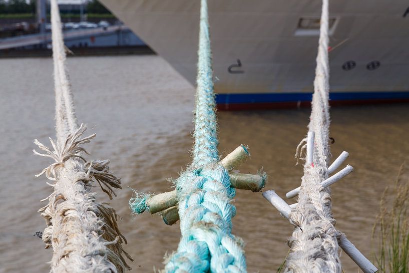 Tauwerk par Rolf Pötsch