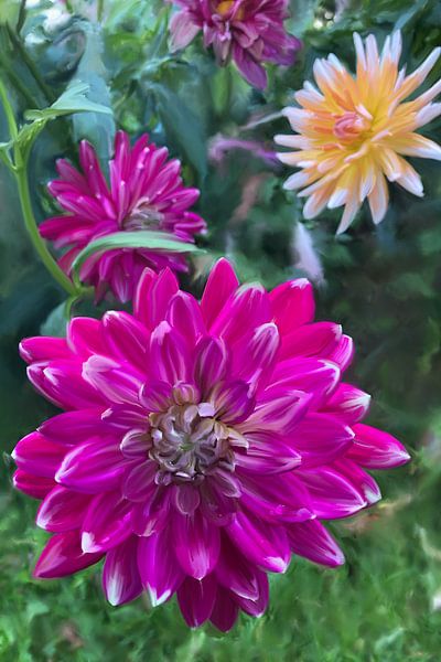 Flowers beauty - painting by Studio Hinte