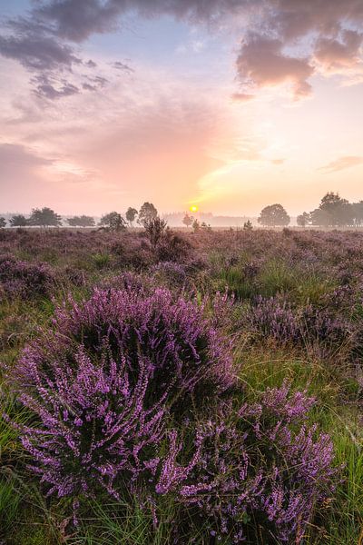 Nuages d'or par Joep de Groot