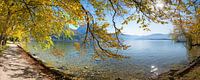 Herbstliche Landschaft Traunsee im Salzkammergut