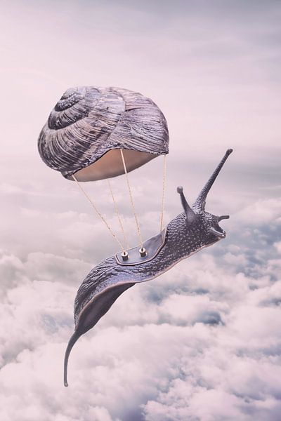 Magical Wall Decoration: Flying Snail in Pink Clouds - Unique Fantasy Art Print by Elianne van Turennout