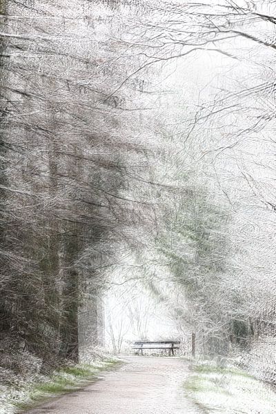 Winter von Ingrid Van Damme fotografie