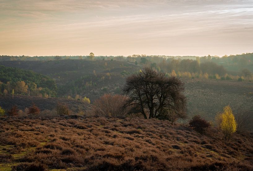 Photo d&#039;ambiance de la Posbank par René Jonkhout