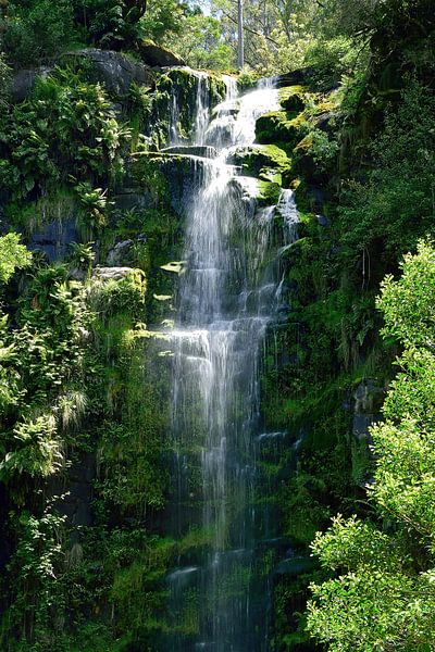 Atemberaubende Erskine Falls von Frank's Awesome Travels