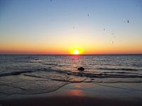 ondergaande zon / sunset