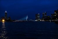 L'accroche-regard de Rotterdam