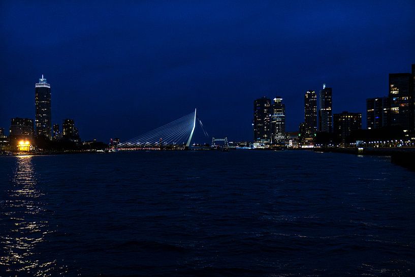 L'accroche-regard de Rotterdam par Tanja Otten Fotografie