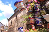 Des pots de fleurs colorés dans la rue française