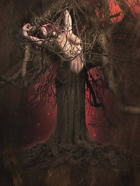 Bois Obscur par Babette van den Berg