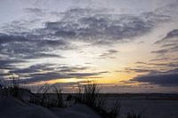 Marram grass on Dutch beach dune with sunset