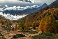 Herbstgeschmack im Vallée de la Clarée