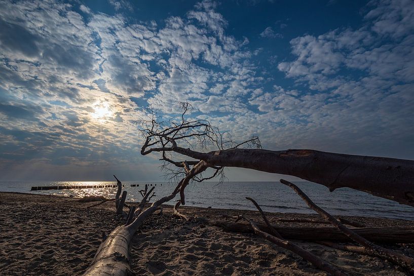 Paysage au bord de la mer Baltique à Graal-Müritz par Rico Ködder