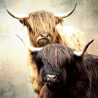 Sisters Square Deel 2