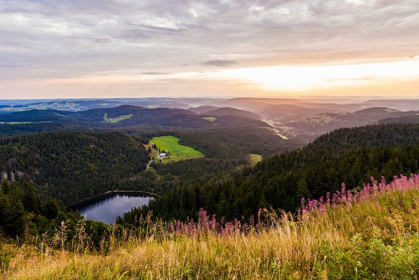 Vue du Feldberg sur la Forêt Noire par Werner Dieterich