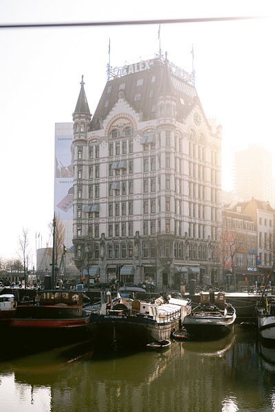A portrait of The White House in Rotterdam by Sanne Dost