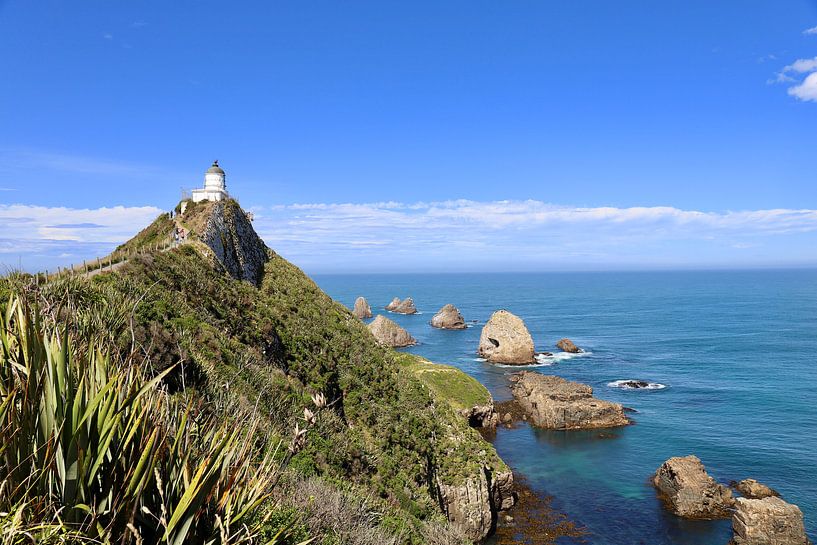 Nugget Point: Bright Afternoon Light over Blue Ocean by Be More Outdoor