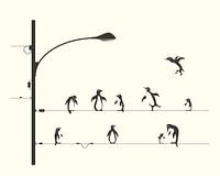 Pingouins sur fil
