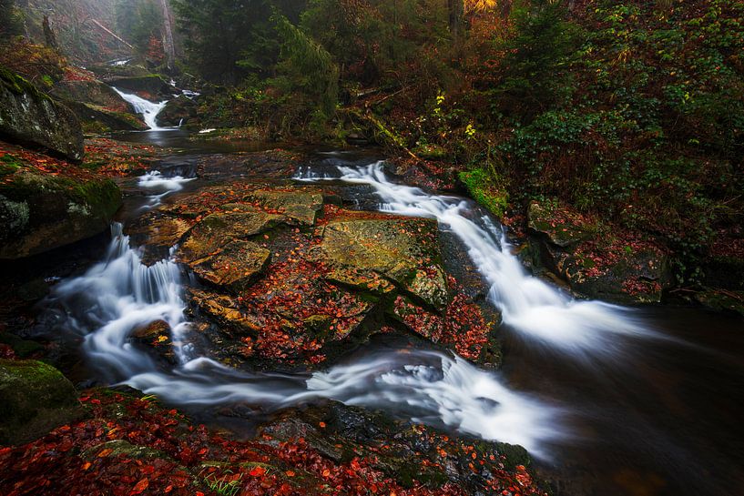 Novembre au Ilsetal par Daniela Beyer